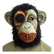 Zombie Chimpans Mask