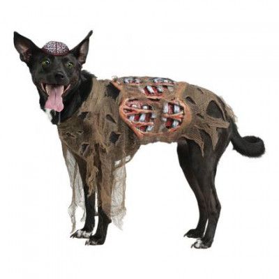 Zombie Hund Maskeraddräkt